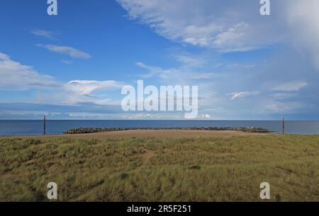 Blick über die Küste Meer Verteidigung Riff, der Zwergseeschwalbe (Sterna Albifrons) Prediger-on-Sea, Norfolk Stockfoto