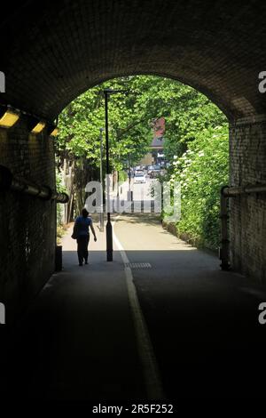 Blick durch den Tunnel unter der Eisenbahn auf den städtischen Ödland Habitat Wood Green, Haringey, London Mai Stockfoto