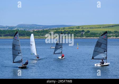 South Queensferry, Schottland, Großbritannien. 3. Juni 2023. South Queensferry ist ein wahres Freizeitangebot, bei dem Besucher das sonnige Wetter genießen und an verschiedenen Wassersportaktivitäten und Bootsausflügen teilnehmen können. Segeln in der Flussmündung der Port Edgar Marina. Kredit: Craig Brown/Alamy Live News Stockfoto