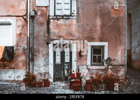 In Lissabon steht ein verwittertes Haus mit Rissen an den Wänden und abblätternder Farbe auf einem schwarzen oder schmutzigen Kopfsteinboden. Geschmückt mit Lehmblumen, sie strahlt aus Stockfoto