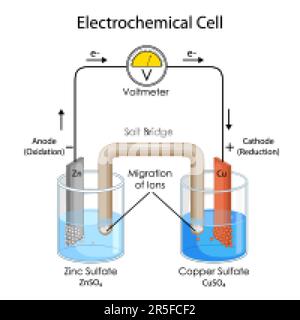 Schulungsdiagramm zur Darstellung des physikalischen Konzepts elektrochemischer Zellen Stock Vektor