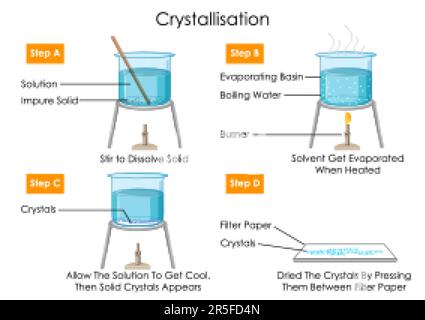 Schulungsdiagramm zur Darstellung des physikalischen und chemischen Konzepts des Kristallisationsprozesses Stock Vektor