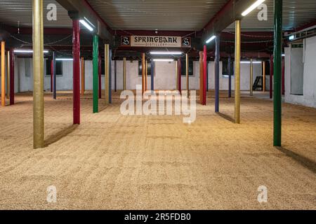 Springbank Destillery Mälting Floor, Campbeltown, Schottland, Vereinigtes Königreich Stockfoto