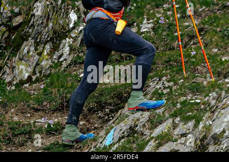 Beine und Trekkkingstöcke von Sportlern gehen beim Trail Skyrunning Marathon, einem schwierigen Streckenrennen in den Bergen, bergauf Stockfoto