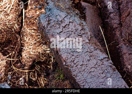 Am Ufer des Loch Gorm in Islay, Schottland Stockfoto