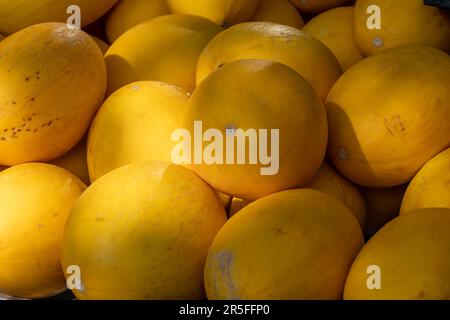 Gelber Honig aus Cavaillon, reife runde Charentais Honig-Cantaloupe Melonen auf lokalem Markt in der Provence, Frankreich, aus nächster Nähe Stockfoto