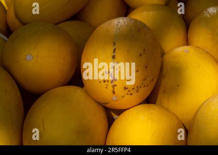 Gelber Honig aus Cavaillon, reife runde Charentais Honig-Cantaloupe Melonen auf lokalem Markt in der Provence, Frankreich, aus nächster Nähe Stockfoto