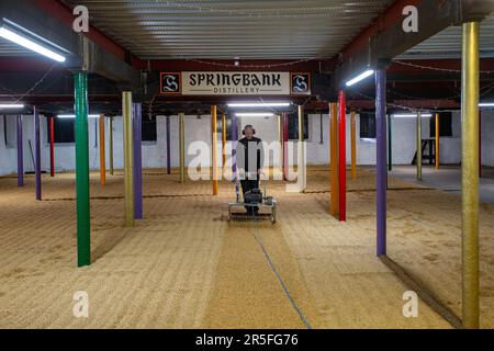 Springbank Destillery Floor Maltings, Campbeltown, Schottland, Vereinigtes Königreich Stockfoto