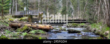 Ein kleines Wehr, das den Fluss Großer Regen in der Nähe der Stadt Bayerisch Eisenstein im Bayerischen Wald hochdämmt. Stockfoto