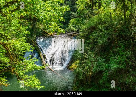 Ein Landschaftsbild der Drake Falls im Silver Falls State Park im Bundesstaat Oregon Stockfoto