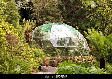 Attadale Gardens Wester Ross Scotland das Gewächshaus mit Baumfarnen Stockfoto