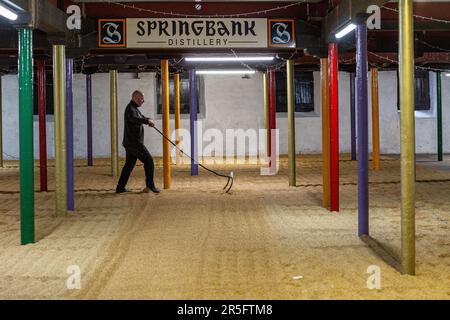 Springbank Destillery Floor Maltings, Campbeltown, Schottland, Vereinigtes Königreich Stockfoto