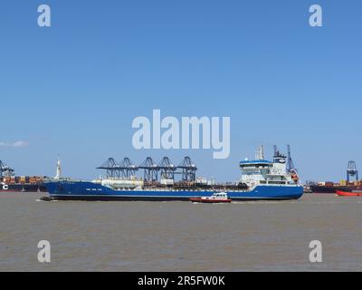 Harwich, Essex - 3. Juni 2023:das Kattegat-Öl- und Chemikalientankschiff im Hafen von Harwich in Begleitung eines Hafenpiloten. Stockfoto