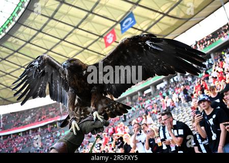 Berlin, Deutschland. 03. Juni 2023. Fußball: DFB Cup, RB Leipzig - Eintracht Frankfurt, Finale im Olympiastadion. Frankfurts Maskottchen „Attila“ vor dem Spiel. Kredit: Tom Weller/dpa/Alamy Live News Stockfoto