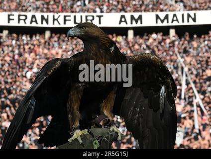 Berlin, Deutschland. 03. Juni 2023. Fußball: DFB Cup, RB Leipzig - Eintracht Frankfurt, Finale, Olympiastadion. Frankfurts Maskottchen „Attila“ vor dem Spiel. Kredit: Arne Dedert/dpa/Alamy Live News Stockfoto