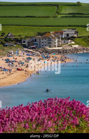 03.06.23. DEVON-WETTER. Die Menschen nutzen das warme Wetter am South Milton Sands in South Devon heute optimal, da die Temperaturen nächste Woche steigen werden Stockfoto
