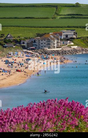03.06.23. DEVON-WETTER. Die Menschen nutzen das warme Wetter am South Milton Sands in South Devon heute optimal, da die Temperaturen nächste Woche steigen werden Stockfoto