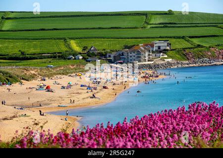 03.06.23. DEVON-WETTER. Die Menschen nutzen das warme Wetter am South Milton Sands in South Devon heute optimal, da die Temperaturen nächste Woche steigen werden Stockfoto