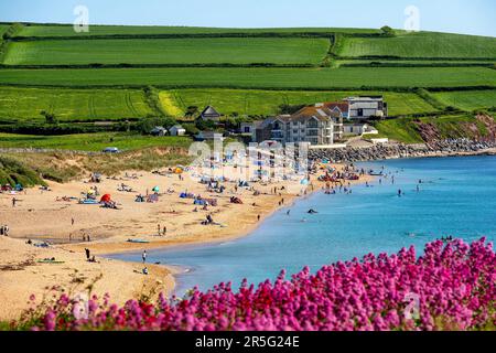 03.06.23. DEVON-WETTER. Die Menschen nutzen das warme Wetter am South Milton Sands in South Devon heute optimal, da die Temperaturen nächste Woche steigen werden Stockfoto