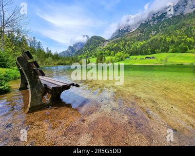 Bank am See im Wasser. Hintersee, Deutschland Stockfoto