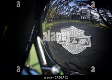 Emblem von Harley Davidson auf dem Kraftstofftank. Die legendäre schwarze Harley Davidson. Stockfoto