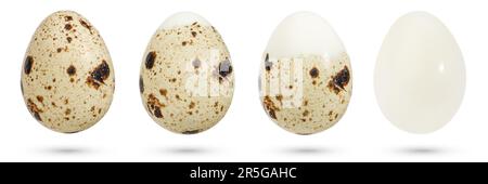Wachteleier. Gekochte Eier beim Schälen der Schale auf einem weißen isolierten Hintergrund. Das Konzept von gekochten Eiern, Kochen Diät Essen, gesund Stockfoto