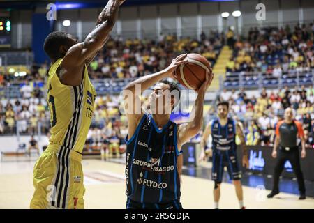 Tuein, Italien. 03. Juni 2023. #13 Pierpaolo Marini (Gruppo Mascio Treviglio) während des Playoff - reale Mutua Torino vs Gruppo Mascio Treviglio, italienische Basketball-Meisterschaft der A2 Männer in Tuein, Italien, Juni 03 2023 Kredit: Independent Photo Agency/Alamy Live News Stockfoto