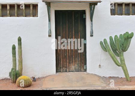 Kaktuspflanze mit Holzbank und Holzschiebetür an weißer Betonwand im Veranda-Bereich des Vintage House Stockfoto