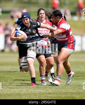 Gloucester, UK, 03. Juni 2023 Ebony Jefferies (Exeter) bricht beim Gloucester-Hartpury gegen Exeter Chiefs Allianz 15 in Alpas Arena Gloucester Großbritannien am 03 2023. Juni Graham Glendinning / Graham Glendinning / Alamy Live News Endstand: 19 - 58 Kredit: Graham Glendinning / GlennSports/Alamy Live News Stockfoto