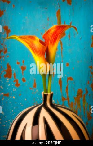 Zwei Calla Lilien In Gestreifter Vase Stockfoto