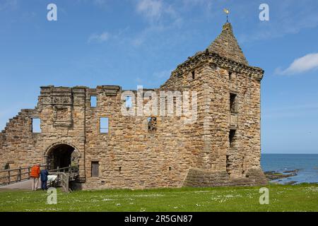 Ein Mann und eine Frau, die Kopfhörer tragen, um sich die Audiobeschreibung anzuhören, lesen Sie den Informationshinweis am Eingang zu den Ruinen von St. Andrews Ca Stockfoto