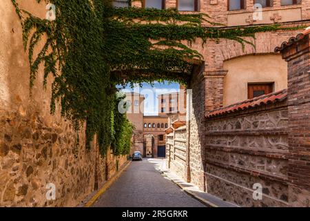 Schmaler Steingang in einer mittelalterlichen Straße von Segovia, Spanien, überwuchert mit üppigem grünen Efeu (Hedera). Stockfoto