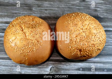 Runde, handgroße Hamburger-Brötchen, gebacken und mit Sesamsamen bedeckt, Brötchen ist eine Art Brötchen, in der Regel gefüllt mit herzhaften Füllungen, hergestellt aus fr Stockfoto