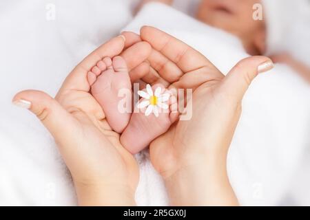 Schöne Baby Fuß mit weißen Gänseblümchen Mütter Hände Stockfoto