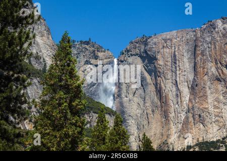 Upper Yosemite Falls unter einem strahlend blauen Himmel Stockfoto