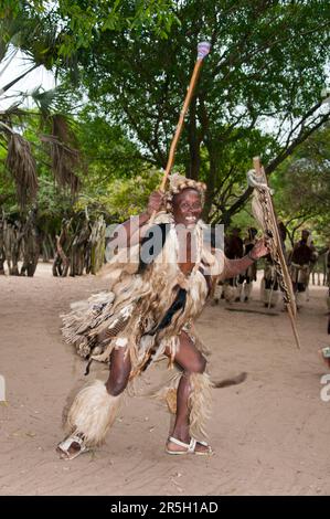 Krieger, traditioneller Tanz, DumaZulu, Duma Zulu, traditionelles Dorf, museumsdorf, KwaZulu Natal, Südafrika Stockfoto