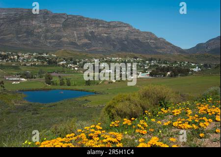 Barrydale, Western Cape, Südafrika Stockfoto