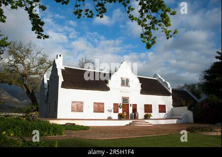 Wine Estate, Blaauwklippen, Stellenbosch, Westkap, Südafrika Stockfoto