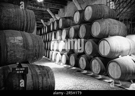 Porto Barrels, Sandeman-Lager, Vila Nova de Gaia, Porto, Portugal, Fass, Fässer, Portwein Stockfoto