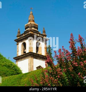 Casa de Mateus Manor, Garten, Mateus, Tras-OS-Montes, Portugal Stockfoto