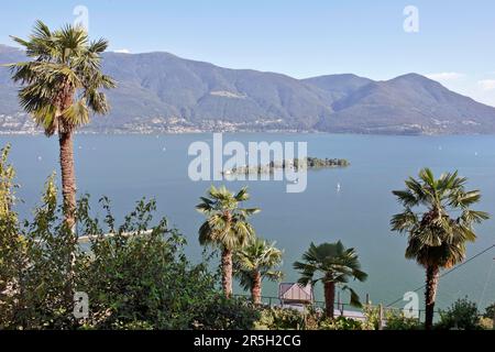 Isole di Brissago, Blick von Ronco sopra Ascona, Lago Maggiore, Tessin, Schweiz Stockfoto