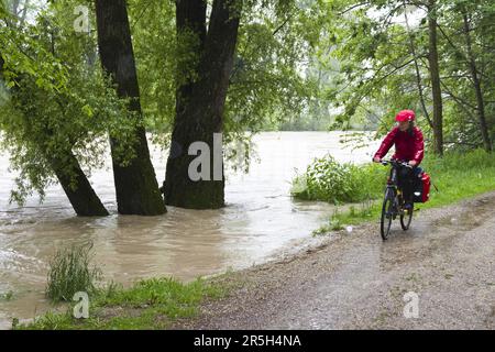 Frau auf dem Fahrrad, Isar Radweg, Isar auf Hochwasser, Oberbayern, Radfahrer, Deutschland Stockfoto