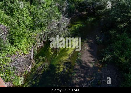 Malerischer blick auf einen Bach an der Küste von Goleta in der Nähe von Santa Barbara, Südkalifornien Stockfoto