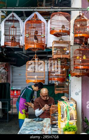 Hong Kong Bird Market (Yuen Po Street Bird Market), Kowloon, Hongkong, China. Stockfoto