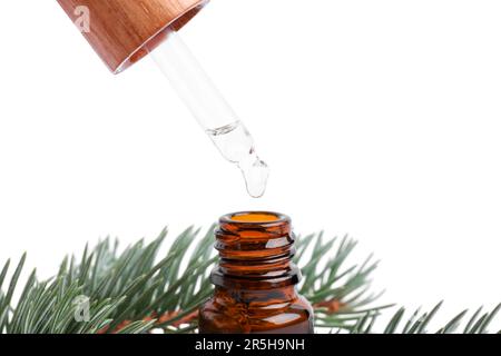 Ätherisches Kiefernöl aus der Pipette in die Flasche in der Nähe von Zweigen auf weißem Hintergrund tropfen lassen Stockfoto