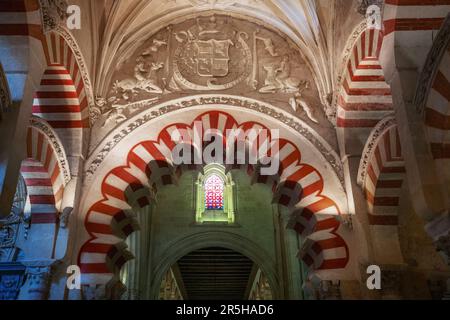 Weiß-roter Multifoil Arch im Al-Hakam II Expasion Gebiet der Moschee-Kathedrale von Cordoba - Cordoba, Andalusien, Spanien Stockfoto