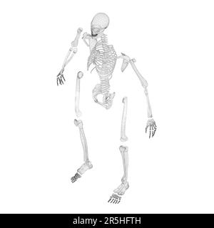 Drahtmodell eines zerlegten menschlichen Skeletts aus schwarzen, auf weißem Hintergrund isolierten Linien. Isometrische Ansicht. 3D. Vektordarstellung. Stock Vektor