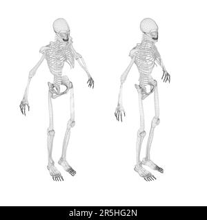 Set mit menschlichem Skeleton-Drahtmodell aus schwarzen Linien, isoliert auf weißem Hintergrund. Isometrische Ansicht. 3D. Vektordarstellung. Stock Vektor