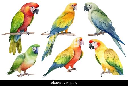 Aquarellfarben-Darstellung eines Papageiens auf einem Zweig, isoliert auf weißem Hintergrund Stock Vektor