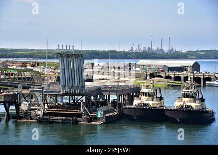 Irish Ferries neue Kreuzfahrtfähre auf der Irischen See MS OSCAR WILDE im Hafen von Rosslare und nach der Überquerung der Irischen See am Pembroke Dock Stockfoto